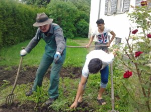 pflanzen holzhofweg 1