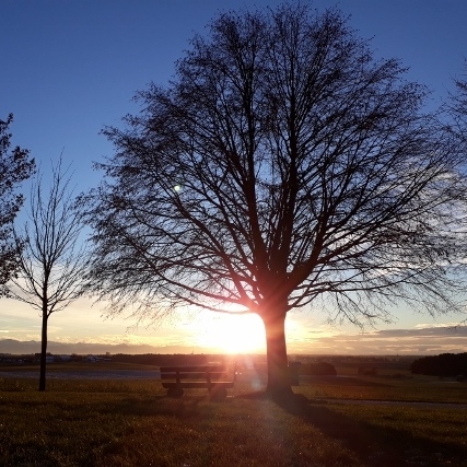 20181220_155752[1] (2) (640x480)